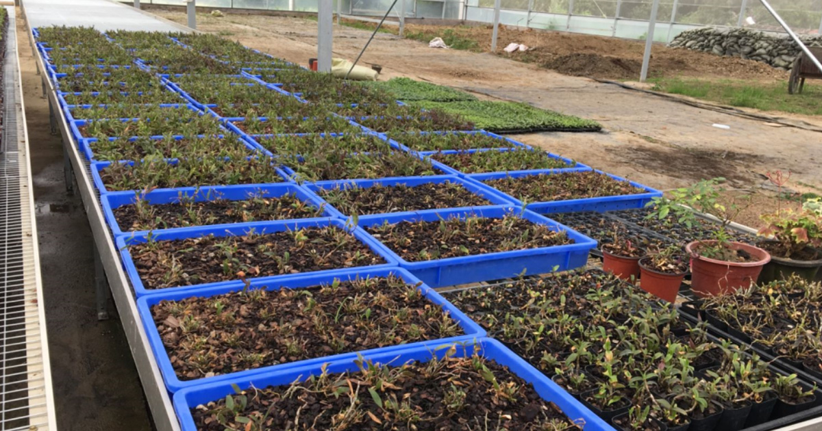 食品醫藥電子冷鏈物流周轉制品場景化推薦指南